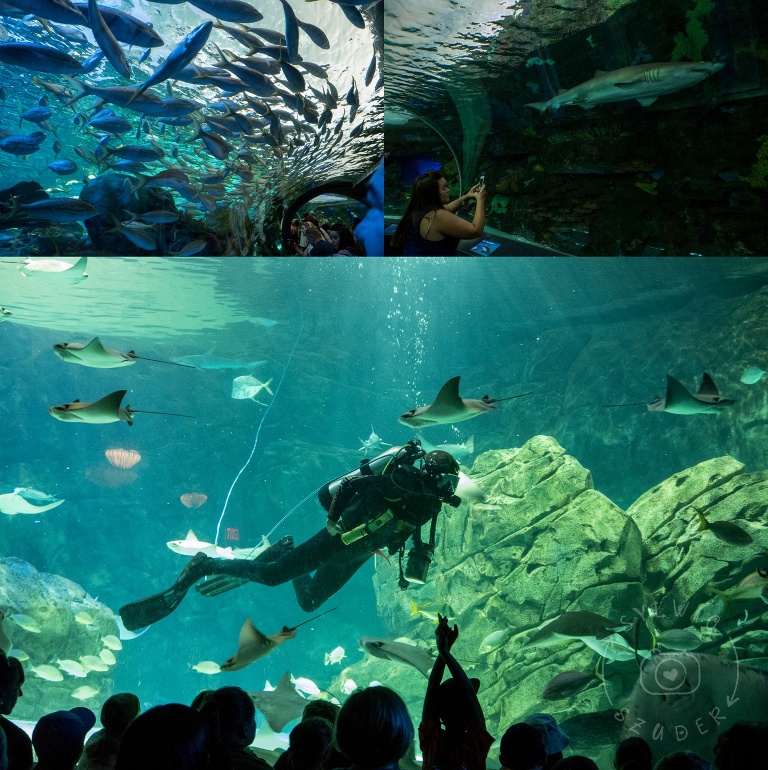 201607_Canada_001_WEB