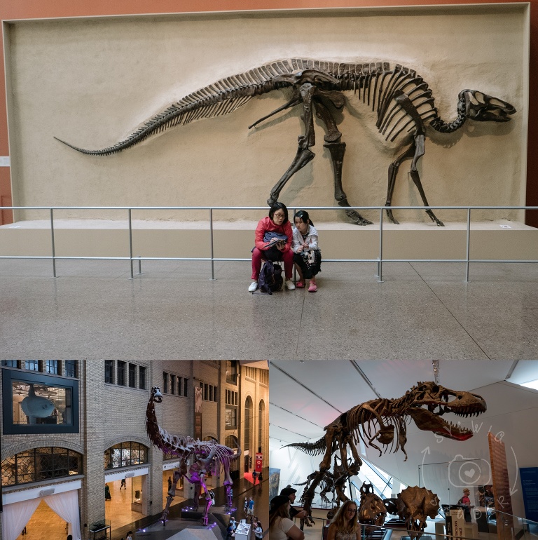 201607_Canada_007_WEB