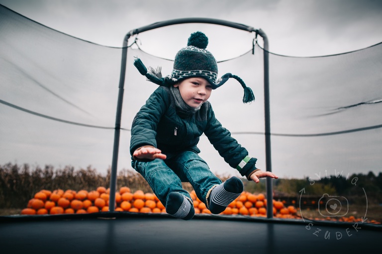 Farma Dyniowa Powsin Pumpkin Path