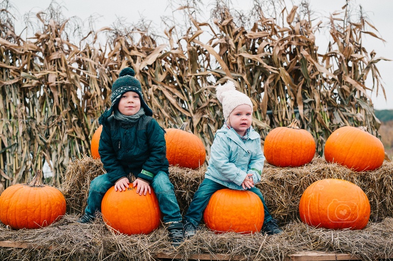 Farma Dyniowa Powsin Pumpkin Path