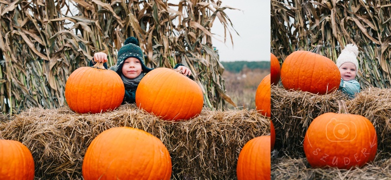 Farma Dyniowa Powsin Pumpkin Path