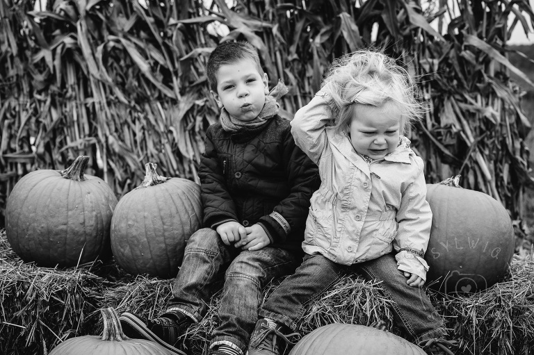 Farma Dyniowa Powsin Pumpkin Path
